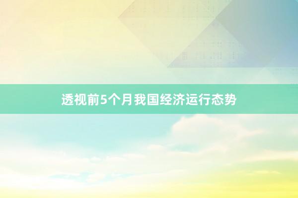 透视前5个月我国经济运行态势
