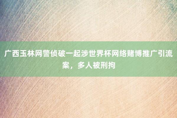广西玉林网警侦破一起涉世界杯网络赌博推广引流案，多人被刑拘