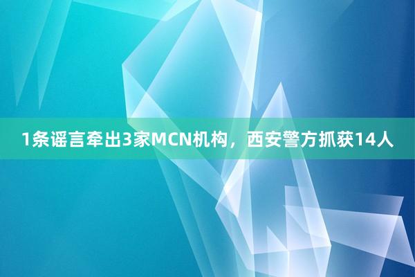 1条谣言牵出3家MCN机构，西安警方抓获14人