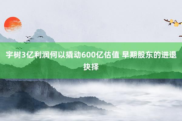 宇树3亿利润何以撬动600亿估值 早期股东的进退抉择