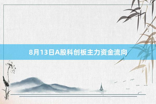 8月13日A股科创板主力资金流向
