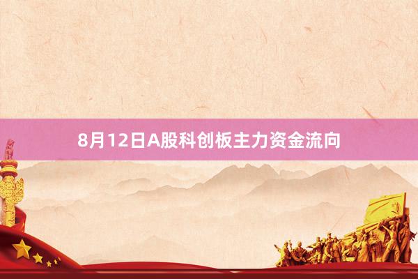 8月12日A股科创板主力资金流向