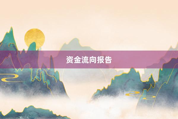 资金流向报告