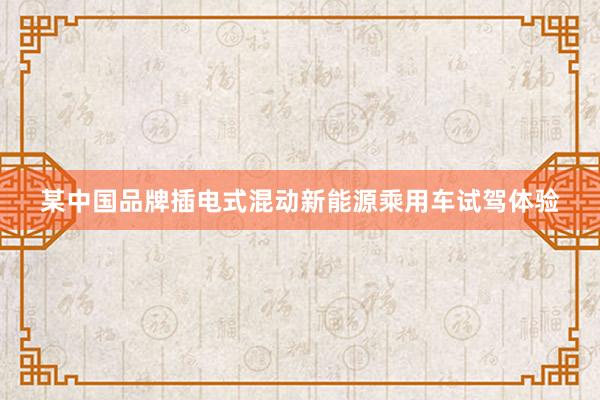 某中国品牌插电式混动新能源乘用车试驾体验