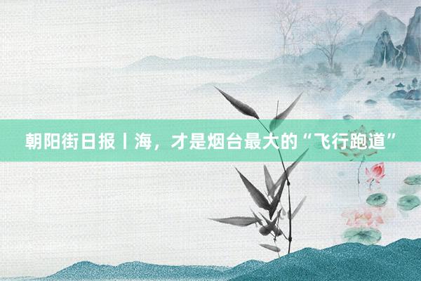 朝阳街日报丨海，才是烟台最大的“飞行跑道”