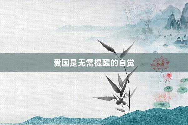 爱国是无需提醒的自觉