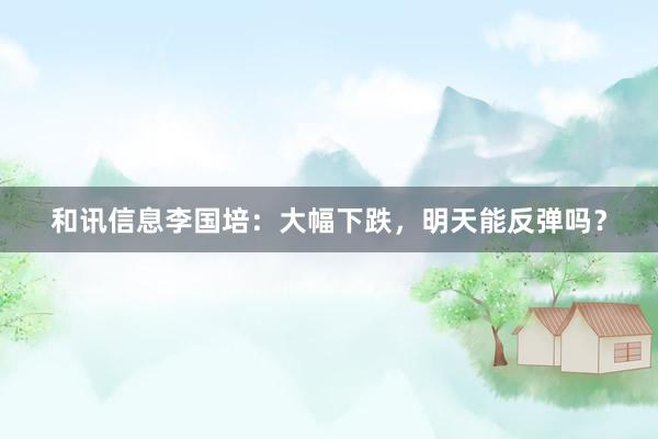 和讯信息李国培：大幅下跌，明天能反弹吗？