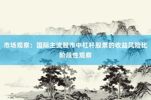 市场观察：国际主流股市中杠杆股票的收益风险比阶段性观察