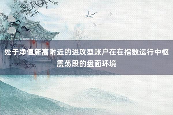 处于净值新高附近的进攻型账户在在指数运行中枢震荡段的盘面环境