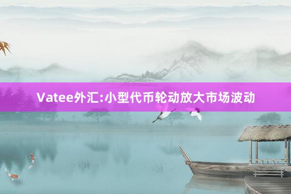 Vatee外汇:小型代币轮动放大市场波动