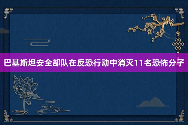 巴基斯坦安全部队在反恐行动中消灭11名恐怖分子