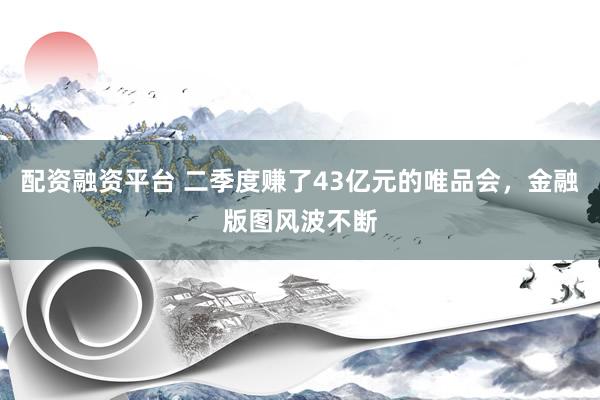 配资融资平台 二季度赚了43亿元的唯品会，金融版图风波不断