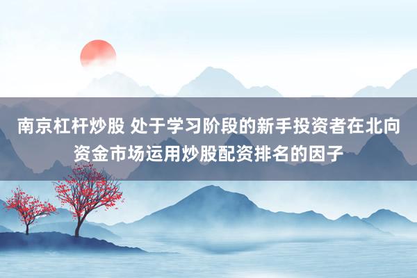 南京杠杆炒股 处于学习阶段的新手投资者在北向资金市场运用炒股配资排名的因子