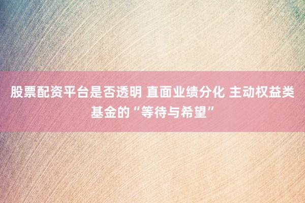 股票配资平台是否透明 直面业绩分化 主动权益类基金的“等待与希望”