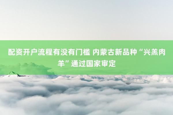 配资开户流程有没有门槛 内蒙古新品种“兴羔肉羊”通过国家审定