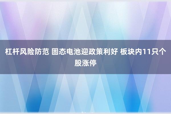 杠杆风险防范 固态电池迎政策利好 板块内11只个股涨停