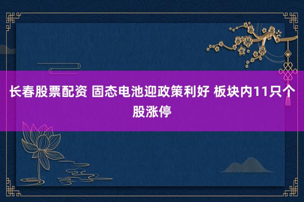 长春股票配资 固态电池迎政策利好 板块内11只个股涨停