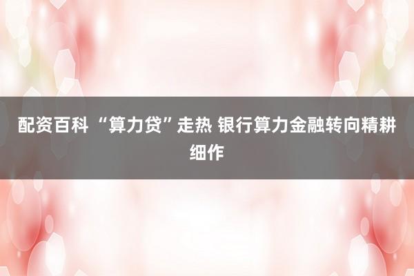配资百科 “算力贷”走热 银行算力金融转向精耕细作