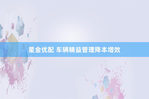 星金优配 车辆精益管理降本增效